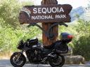 Sequoia Park Entrance